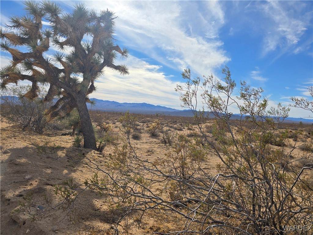 242-20-010 Brittlebush Drive - Photo 1