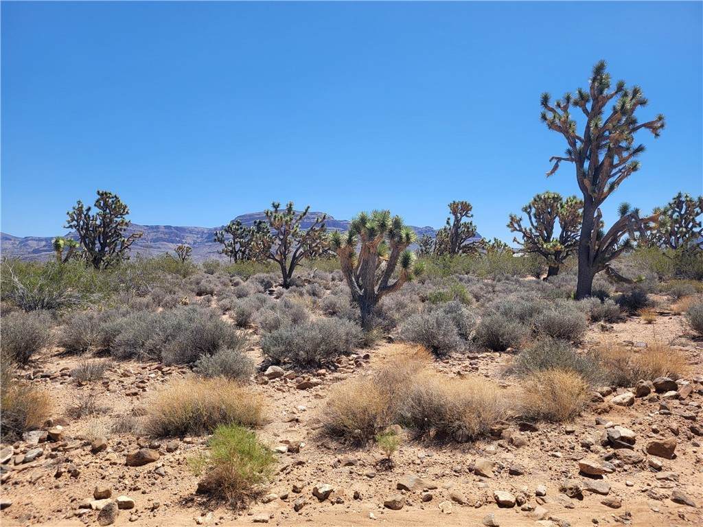 26776 Yucca Road - Photo 1