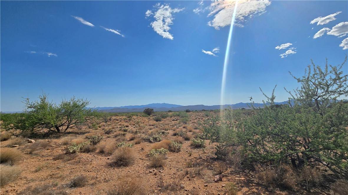 353-36-158 Tyree Road - Photo 1