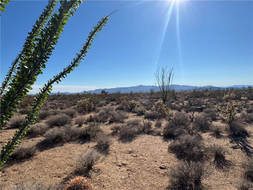 24212013 Sundance Kid Rd - Photo 1