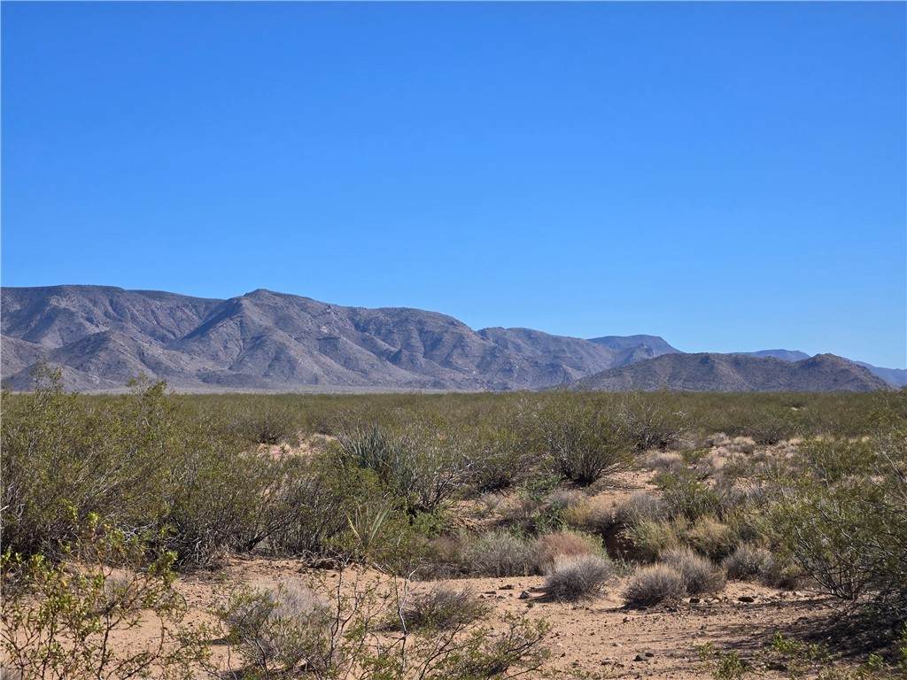 37.93 Acres E Saguaro Boulevard - Photo 1