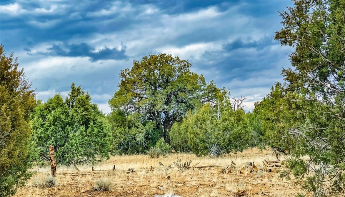 320 Acres Cross Mountain Trout Creek - Photo 1
