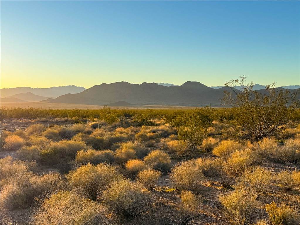 6927 Concho Place - Photo 1