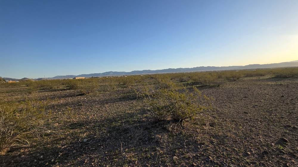 306-44-005A Estrella - Photo 1