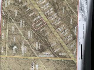 215-11-158 Oatman Highway - Photo 1