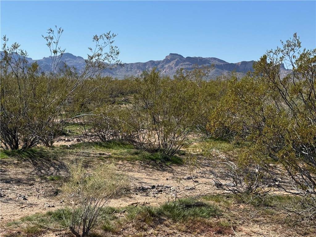 11074 Laguna Trail - Photo 1