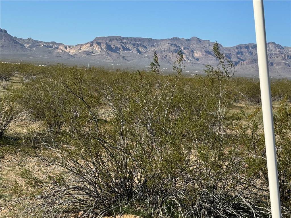 14257 Indian Wells Road - Photo 1