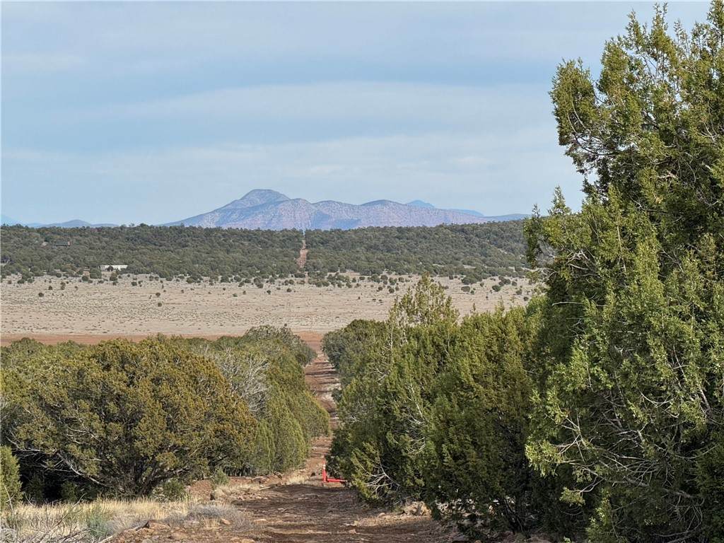 34745 Running Shadow Road - Photo 1