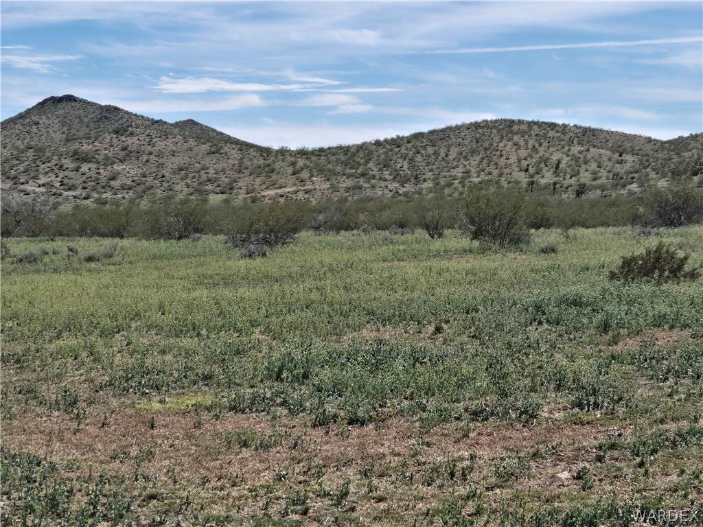 351-09-038 Kanyr Road - Photo 1