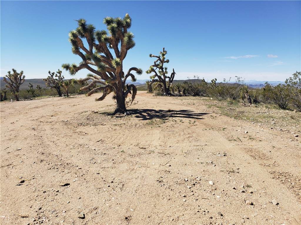 21115 Madera Drive - Photo 1