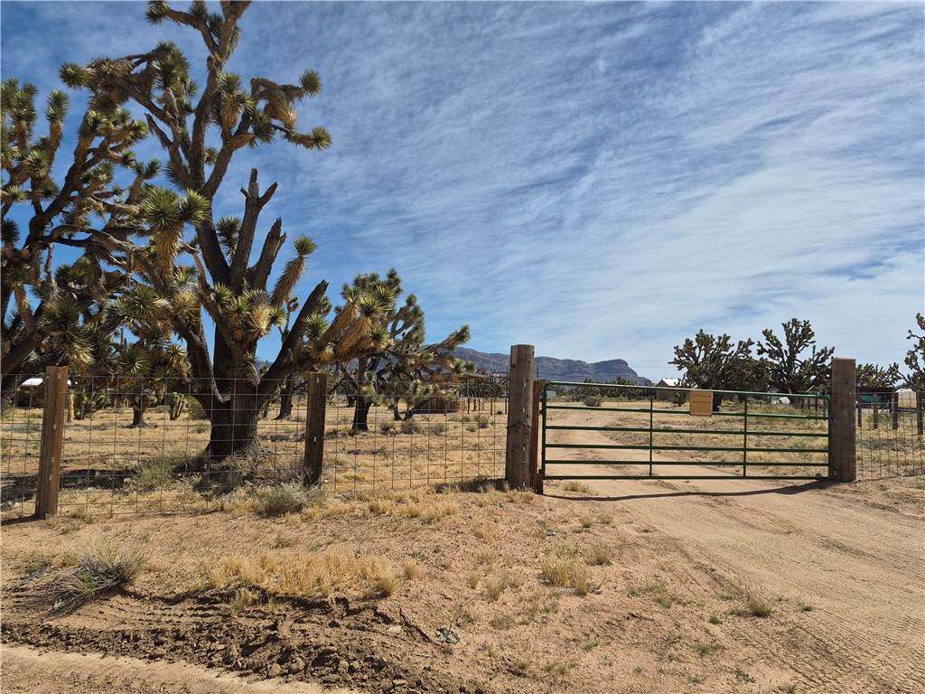 26182 Pear Avenue - Photo 1