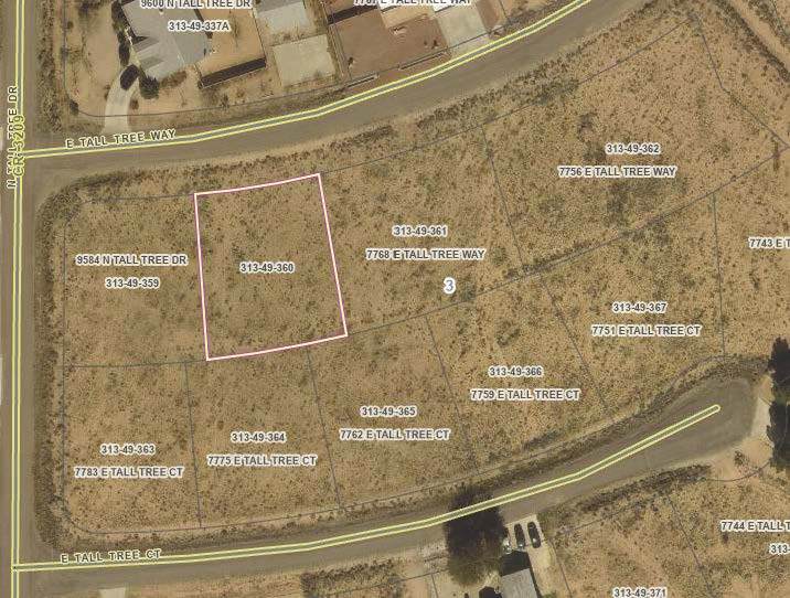 7768 Tall Tree Way - Photo 1