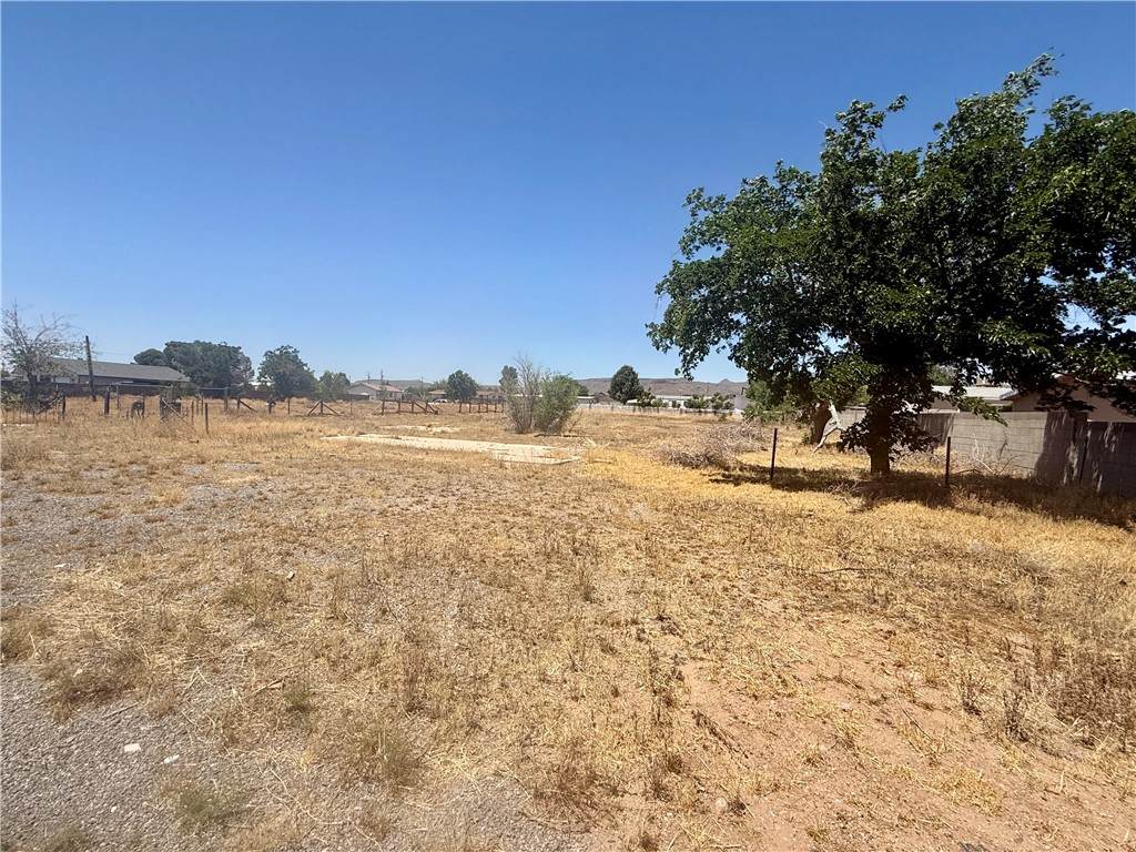 4295 Irving Street - Photo 1