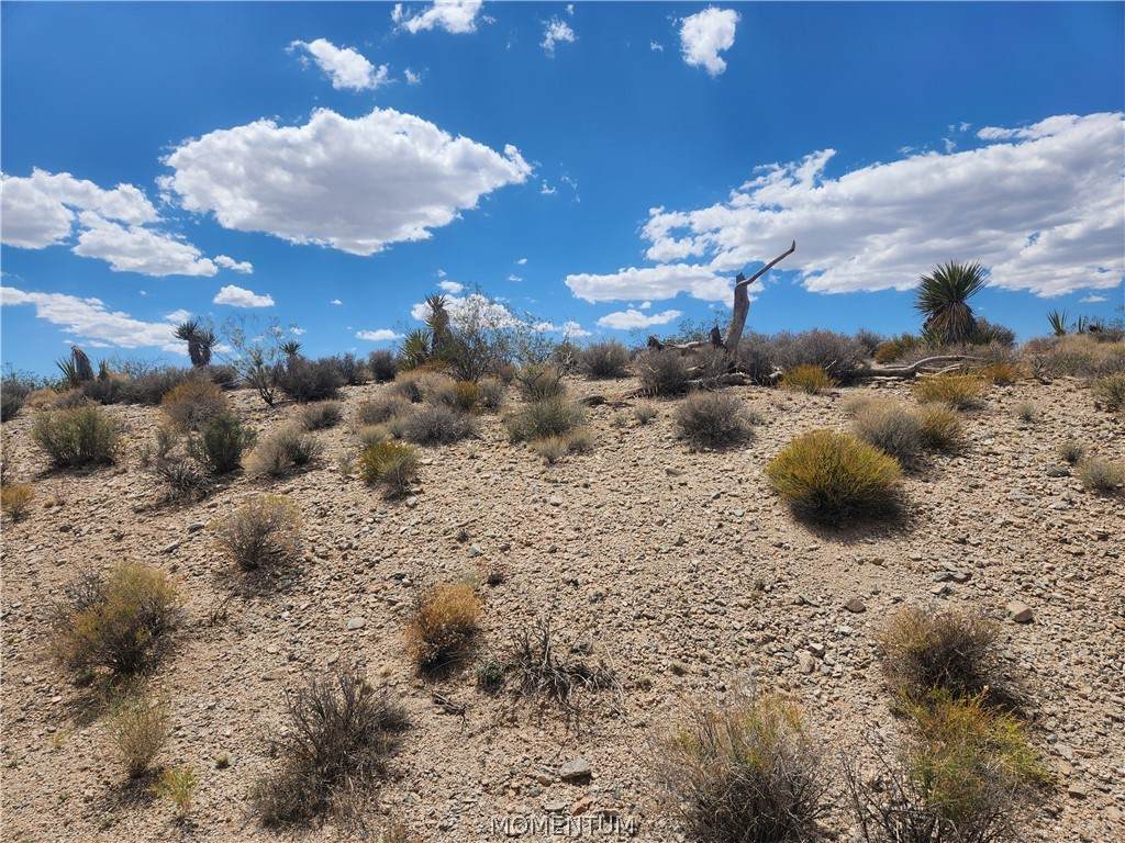 27475 Driftwood Drive - Photo 1
