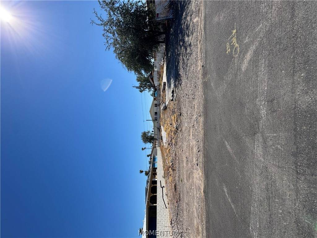1074 Citrus Street - Photo 1