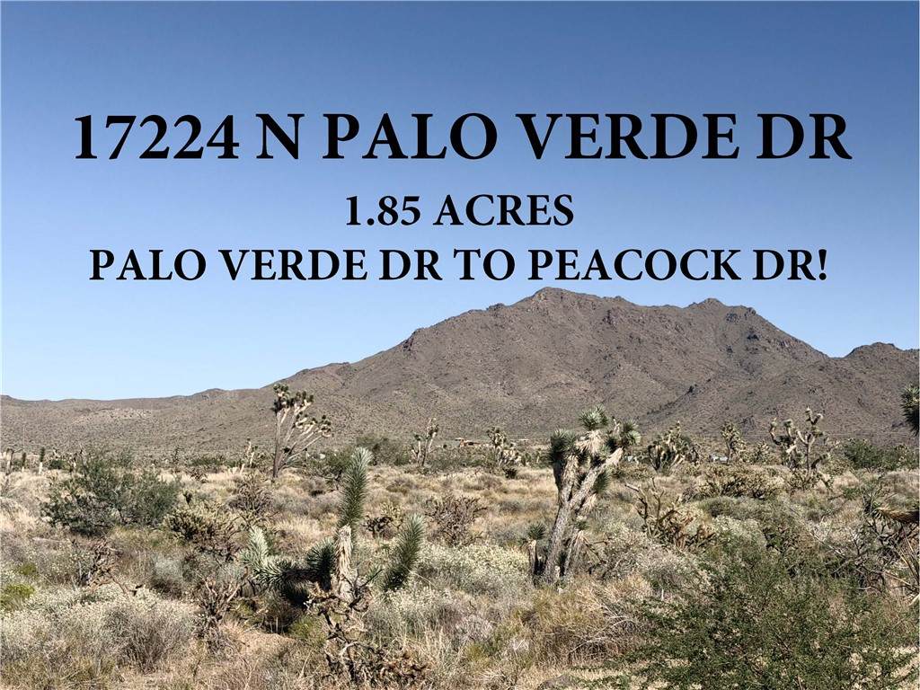17224 Palo Verde Drive - Photo 1