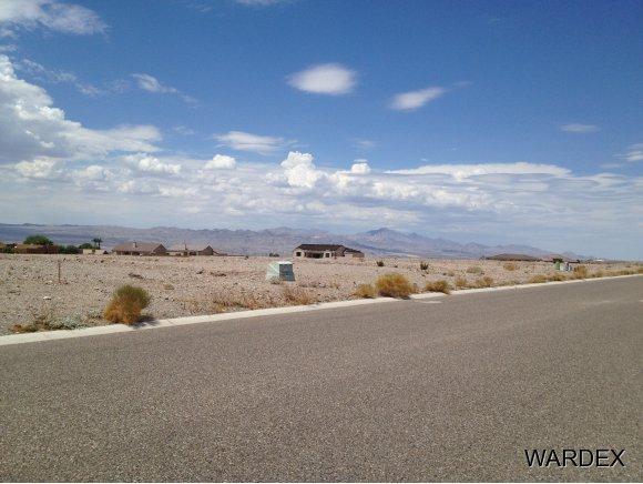 2358 Texas Sage - Photo 1