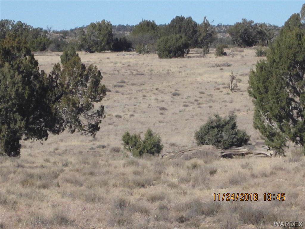 Parcel 689 - Photo 1