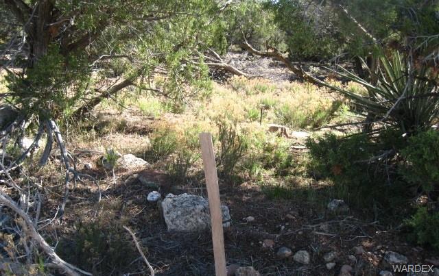 0 Mohave Kid Road - Photo 1