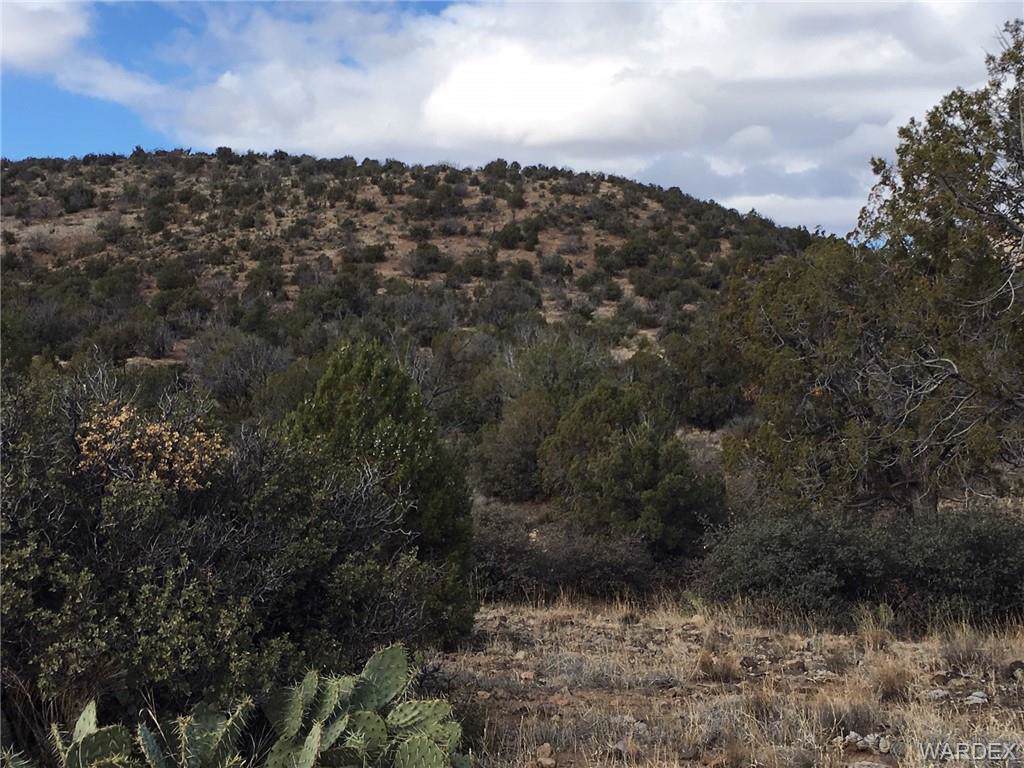 160 Acres Knight Creek Road - Photo 1