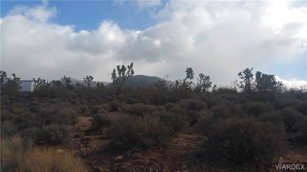 26696 Yucca Road - Photo 1