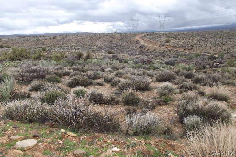 00 Greasewood Trail - Photo 1