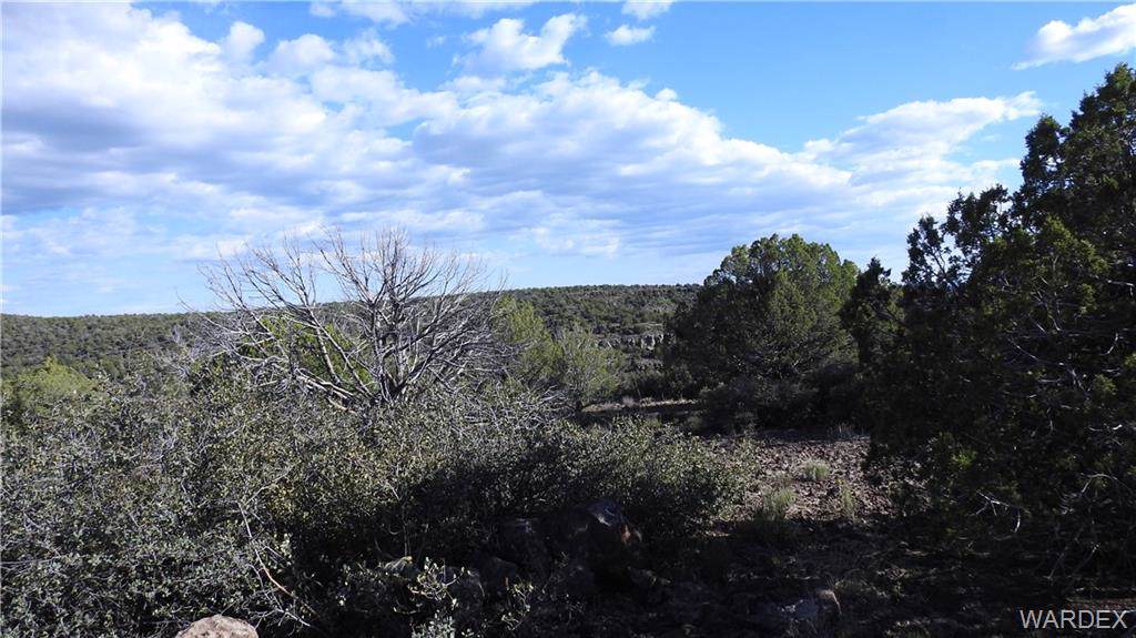 Lot 258 Lee Lea Drive - Photo 1