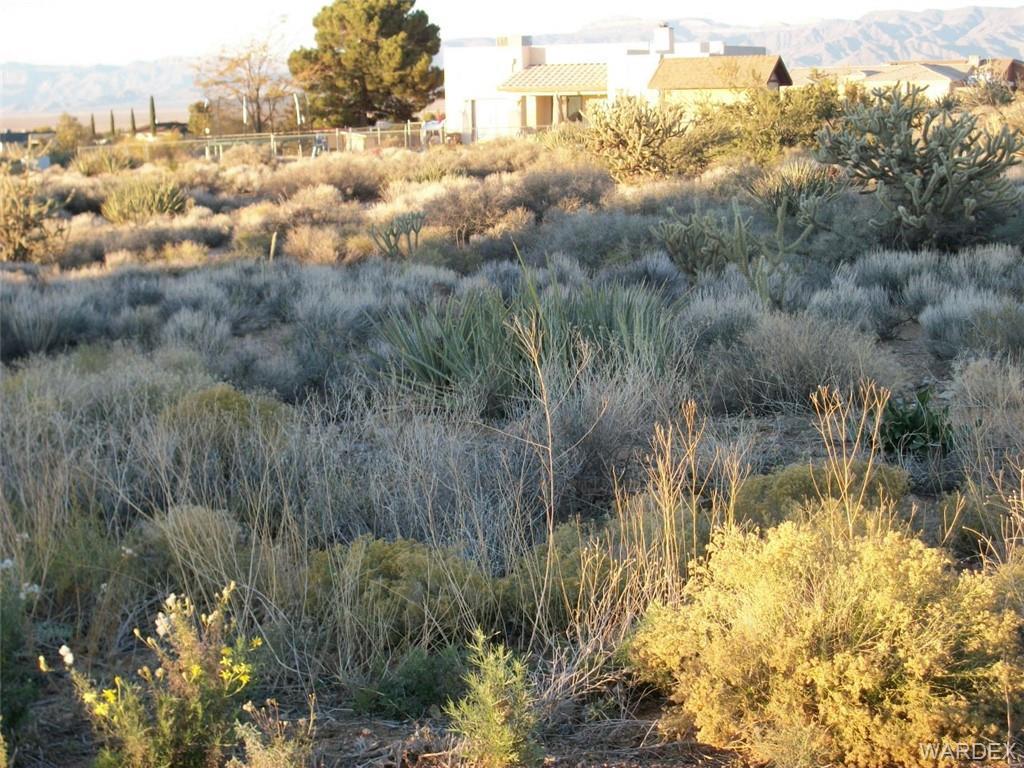 7185 Cactus Drive - Photo 1
