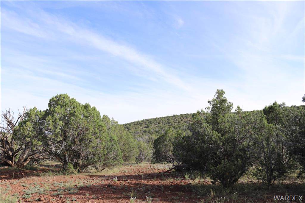 3710 Doe Trail Road - Photo 1