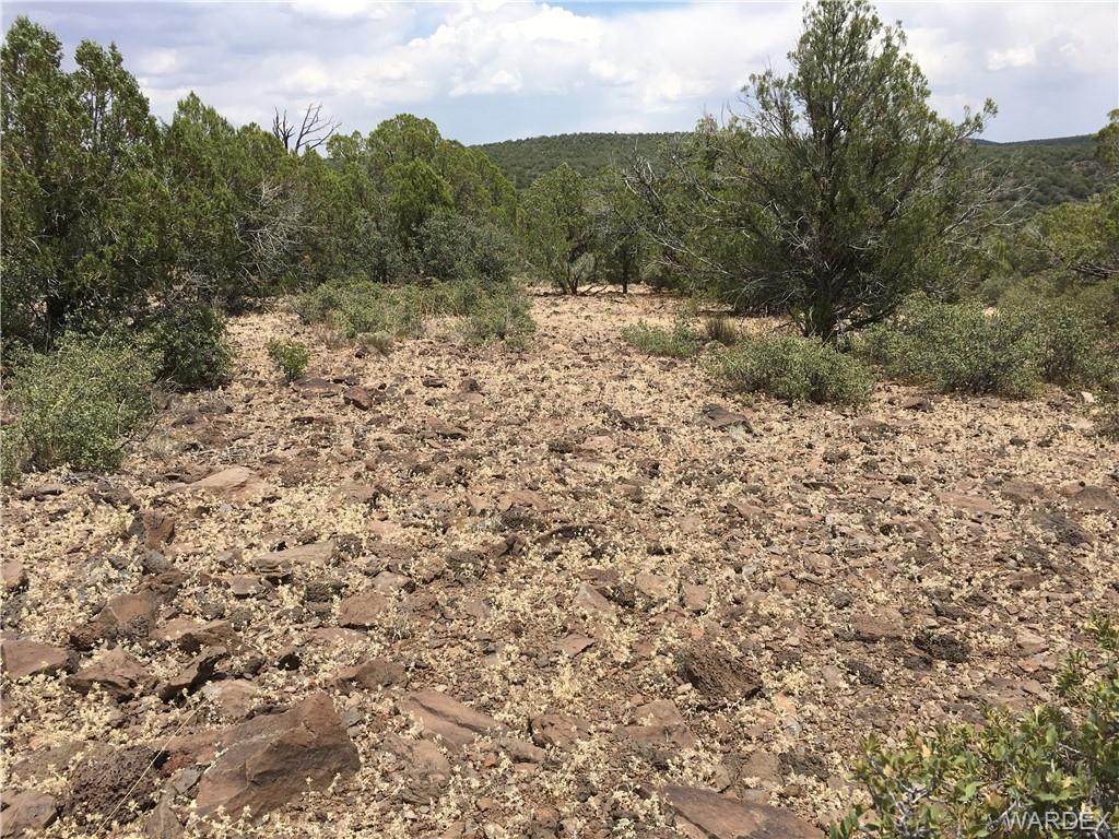 5322 Kit Fox Trail - Photo 1