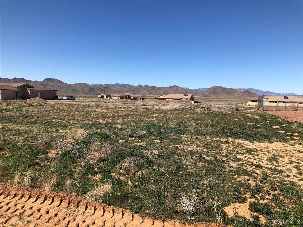 10133 Concho Drive - Photo 1