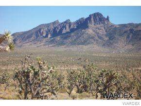 4 LOTS Mt.Tipton/Mt.Loco - Photo 1 4 LOTS Mt.Tipton/Mt.Loco - Photo 1