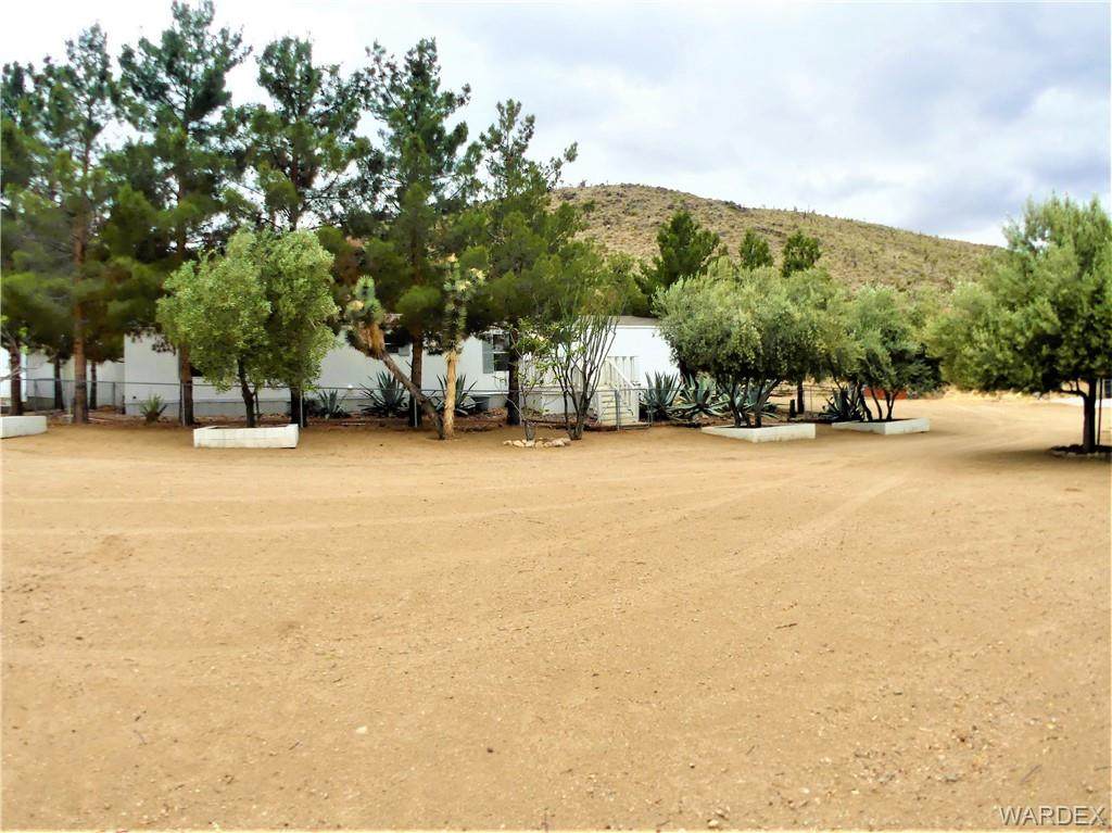 16677 Needle Drive - Photo 1