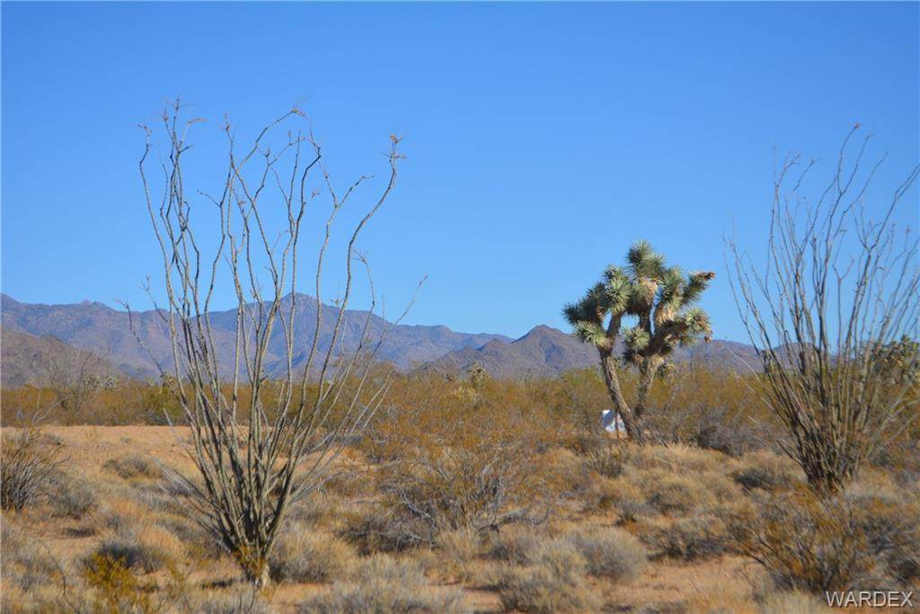3176B Bronco Road - Photo 1