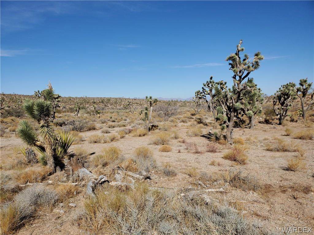27476 Hummingbird Drive - Photo 1