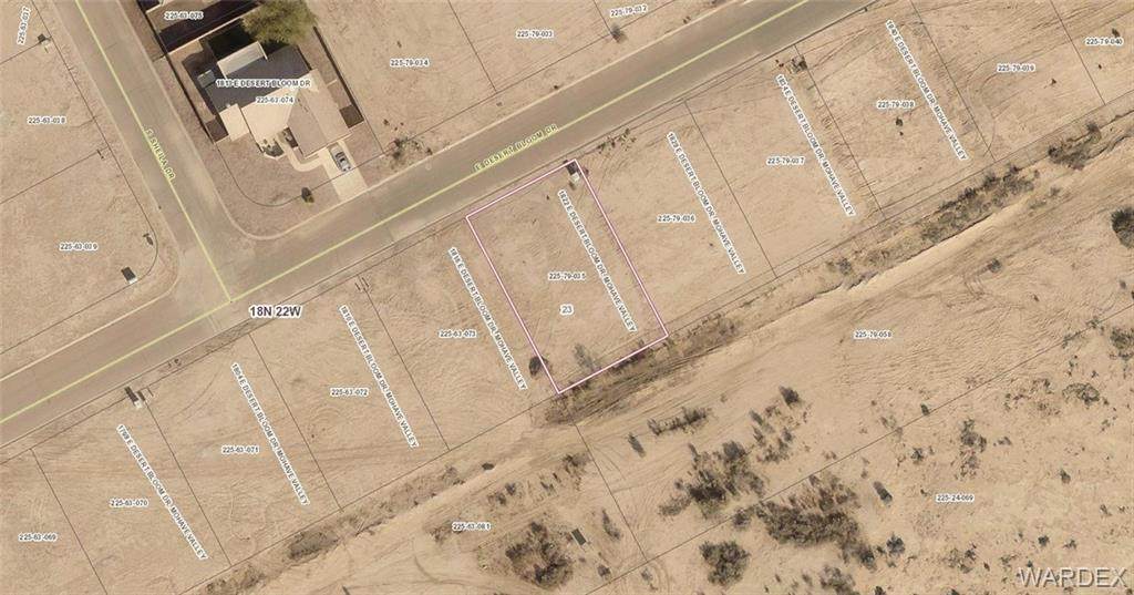 1822 Desert Bloom Dr - Photo 1