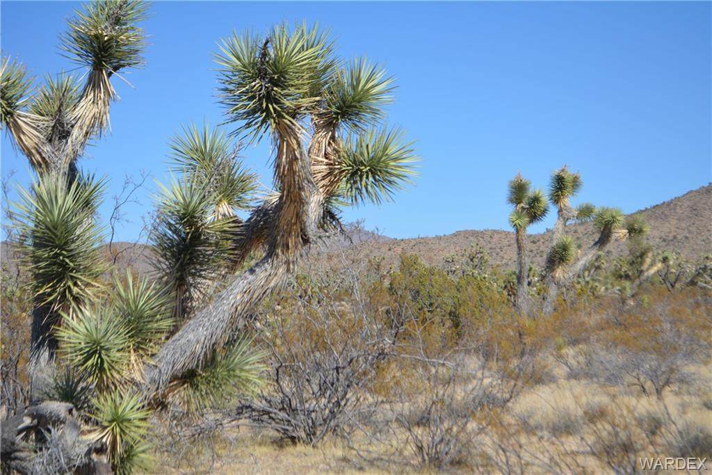 Lot 2082 Road Runner Road - Photo 1