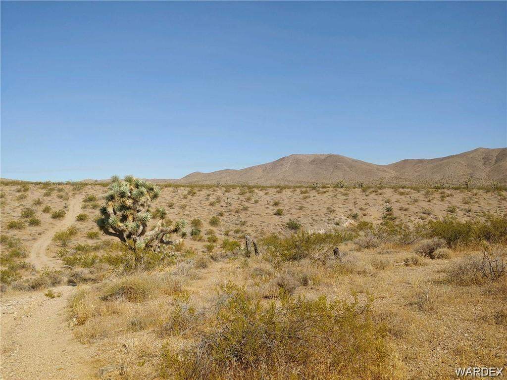 TBD Near Gold Basin - Photo 1
