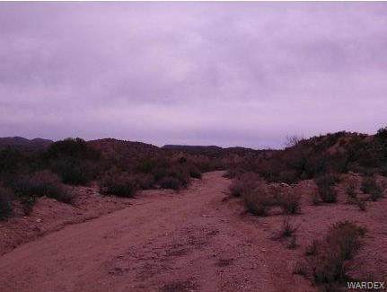 0000 Unknown - Photo 1