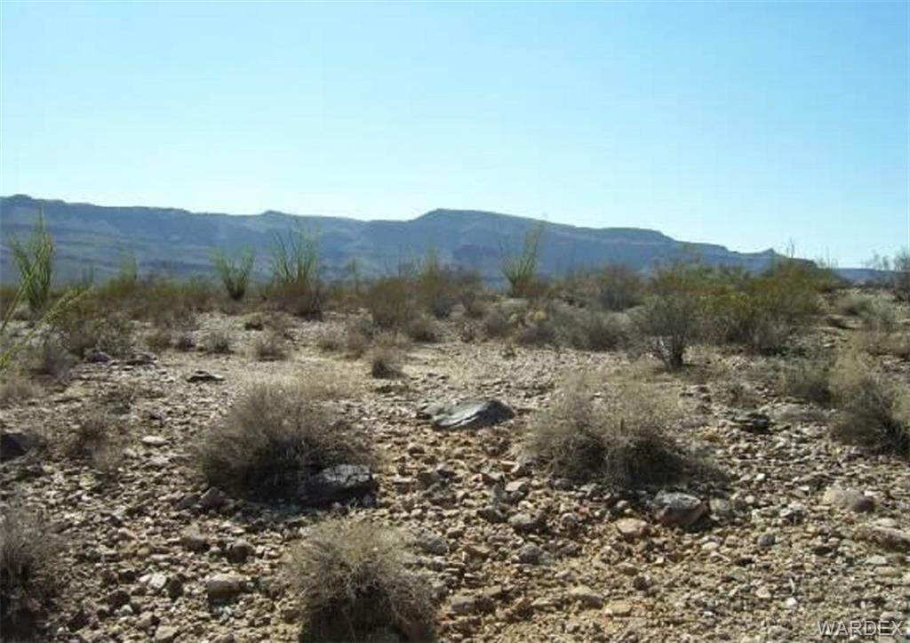000 Wilshire Road - Photo 1
