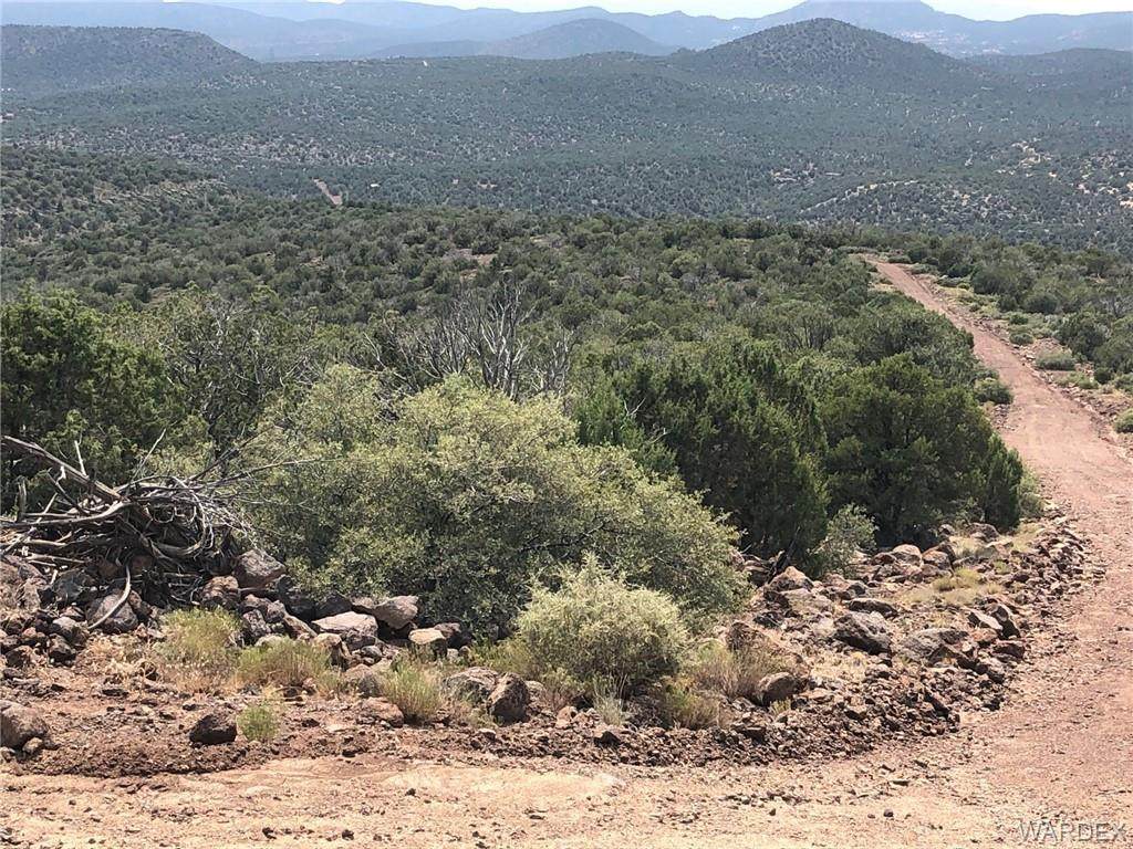 73 Acres Quail Call Lane - Photo 1