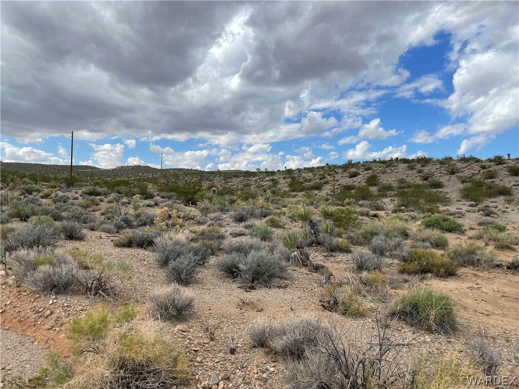 29761 Gregg Drive - Photo 1