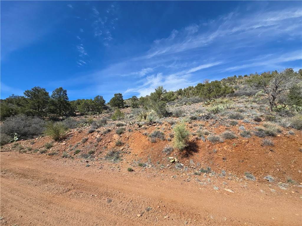 313-01-040 Austin Loop - Photo 1