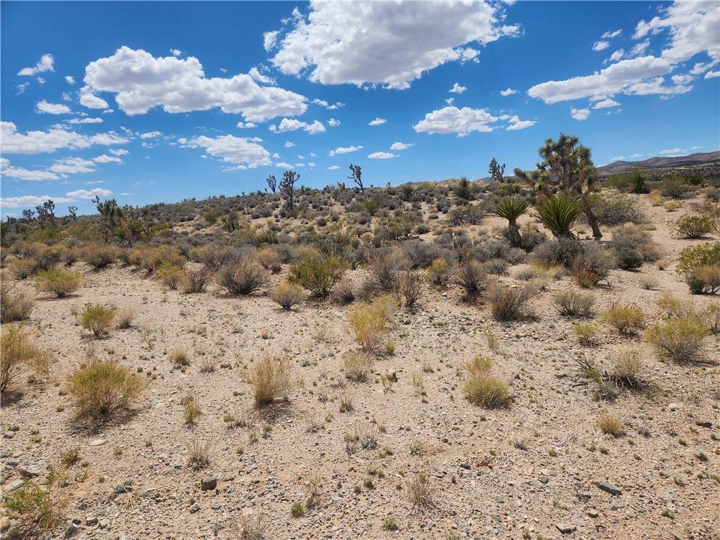 27445 Driftwood Drive - Photo 1