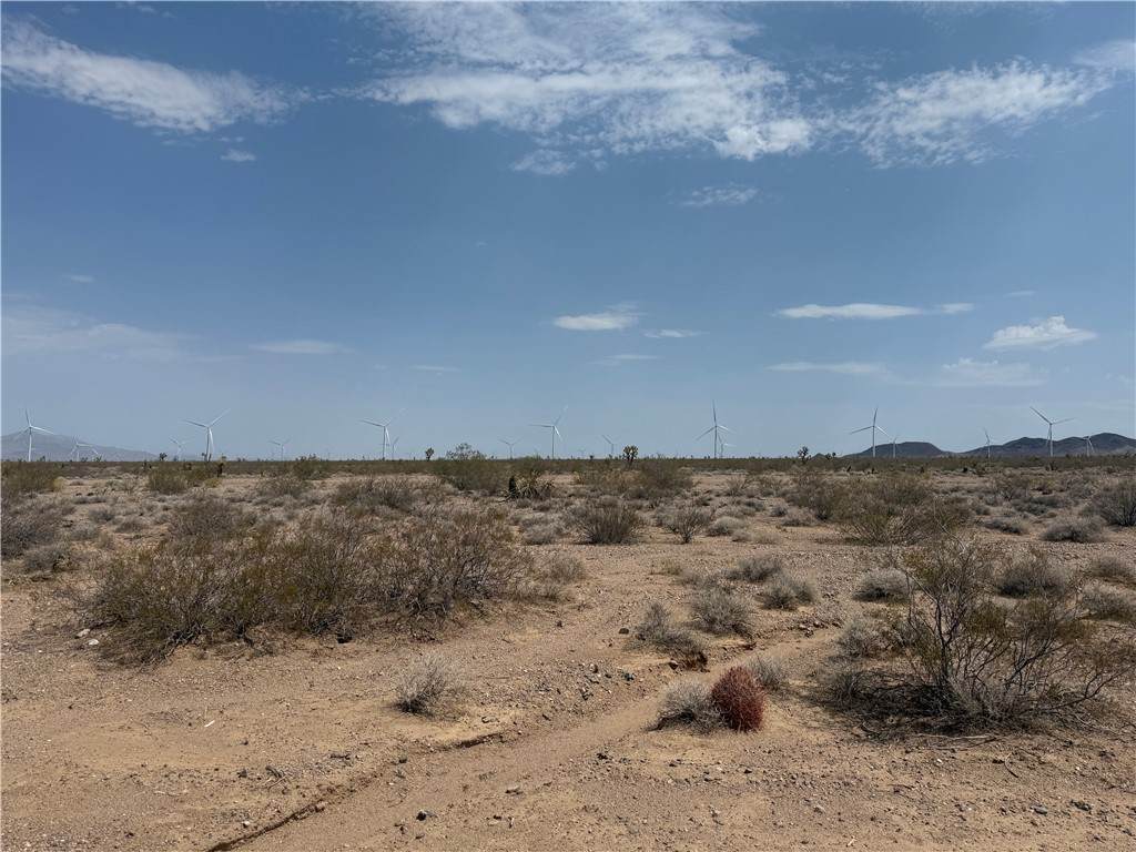 11437 Maverick Drive - Photo 1