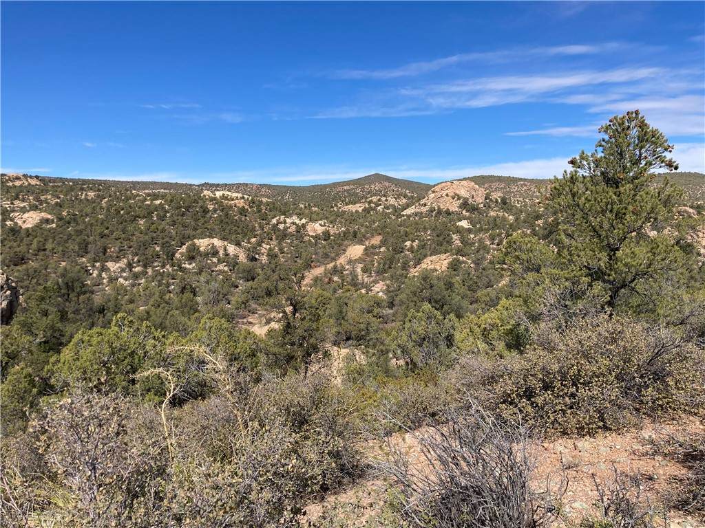 353-02-015 Mystic Canyon Rd. - Photo 1
