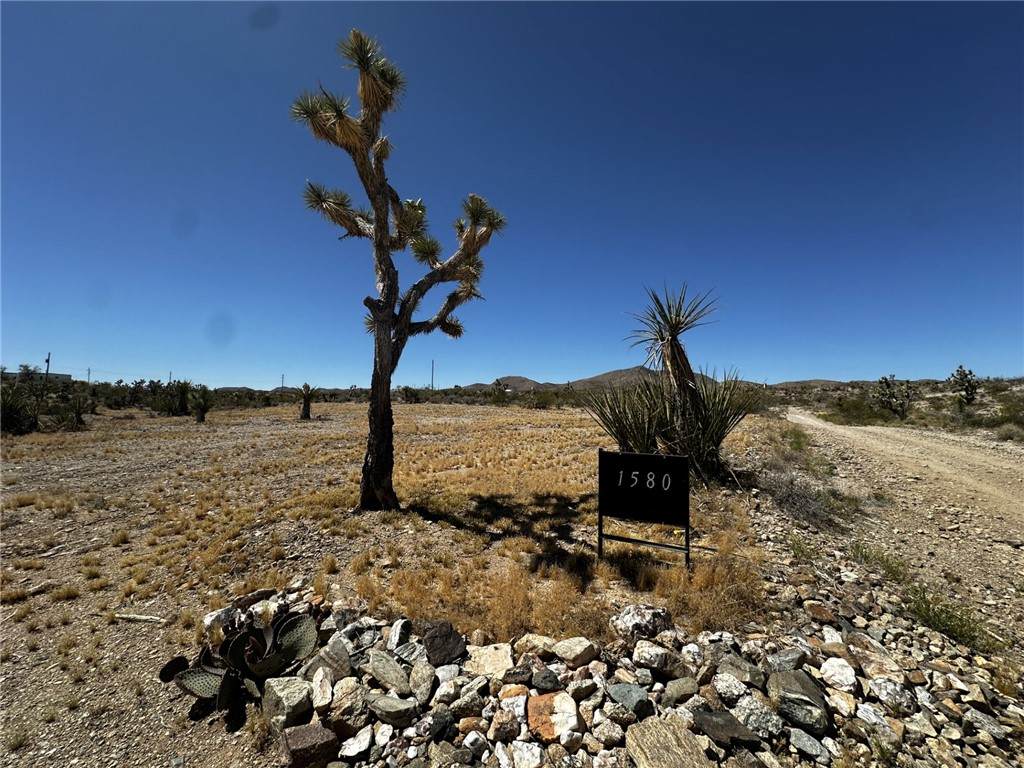 1580 Wishing Well Drive - Photo 1