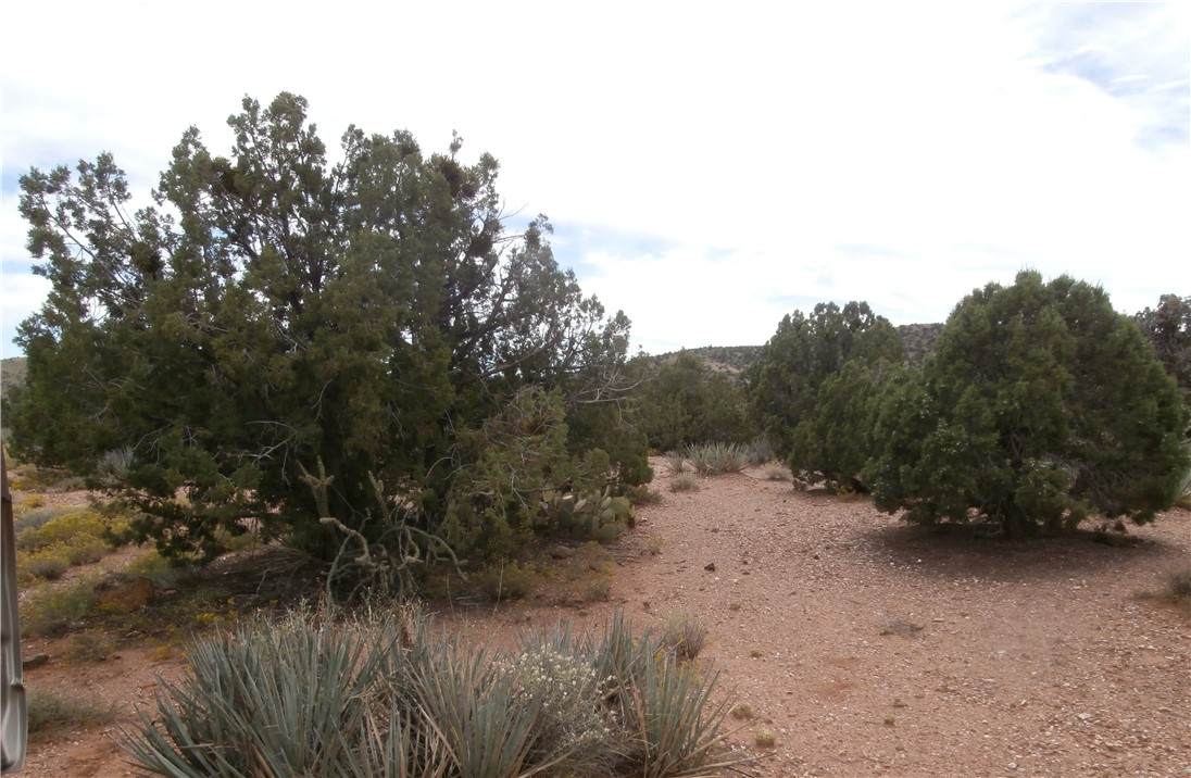 313-89-014 Austin Loop - Photo 1