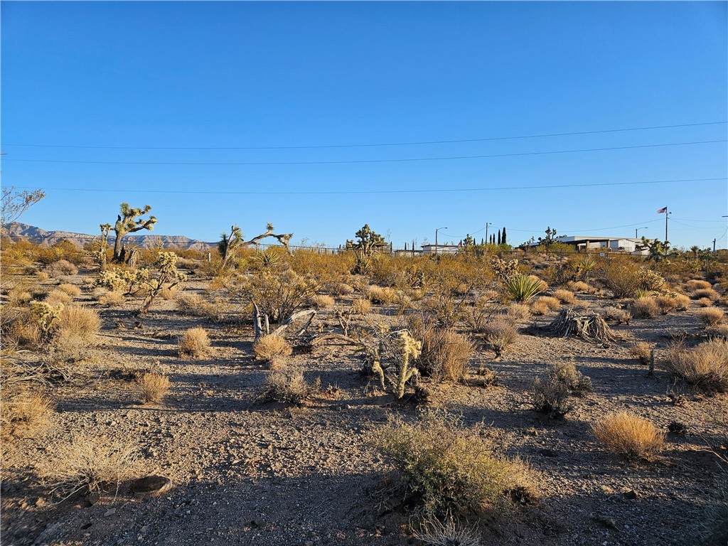 240 Havasu Drive - Photo 1