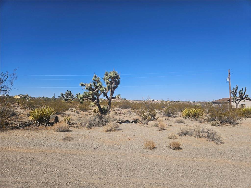 595 Dellenbaugh Drive - Photo 1